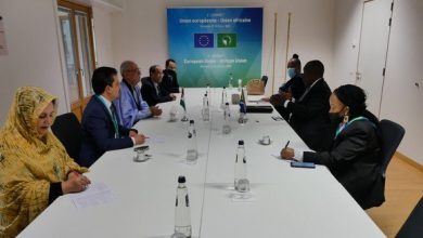 صورة الرئيسان غالي ورامافوزا يتفقان على تقوية العلاقات الثنائية بين بلديهما وشعبيها