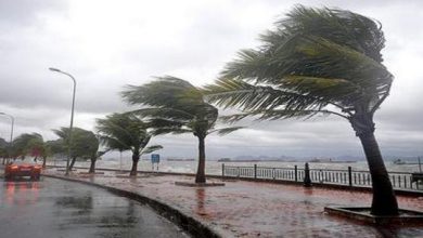 صورة رياح قوية بهذه الولايات