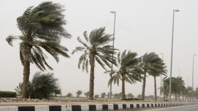 صورة هبوب رياح قوية على هذه الولايات