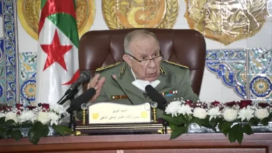 صورة الفريق شنقريحة يؤكد على الأهمية الكبيرة التي توليها القيادة العليا للجيش لسلاح العتاد