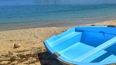 صورة تفكيك ثلاث شبكات مختصة في تنظيم رحلات الحرقة بوهران