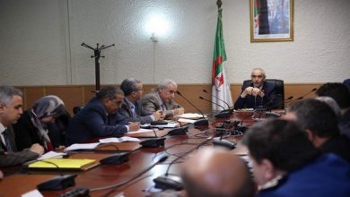 صورة نقل جوي : منجي يشدد على ضرورة التكفل الجيد بالمسافرين خلال موسم الإصطياف