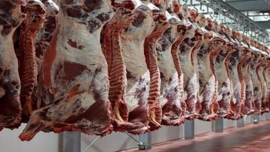 صورة حظر الاستيراد وراء ارتفاع أسعار اللحوم الحمراء
