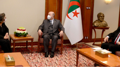 صورة الوزير الأول يستقبل وزيرة الصناعة والمناجم والطاقة بالجمهورية التونسية