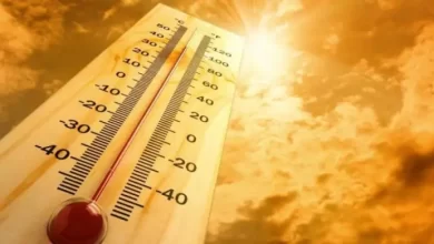 صورة درجات حرارة قياسية بهذه الولايات..ومصالح الأرصاد الجوية تحذر