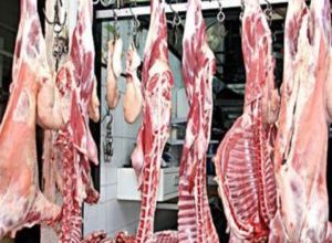 صورة هذه هي توصيات المجلس الوطني لشعبة اللحوم الحمراء للقضاء على غلاء الأسعار