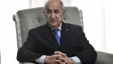صورة الرئيس تبون يستقبل وزيرة خارجية سلوفينيا