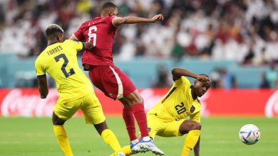 صورة برنامج مباريات مونديال قطر لنهار اليوم الخميس