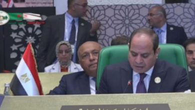 صورة عبد الفتاح السيسي: الأمن القومي العربي خط أحمر يتوجب المحافظة عليه