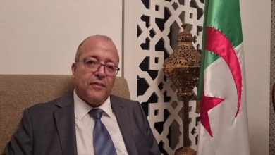 صورة بوسليماني : الاتصال المؤسساتي من أولويات الحكومة