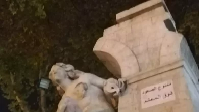 صورة مخرب تمثال عين الفوارة في قبضة عناصر الأمن