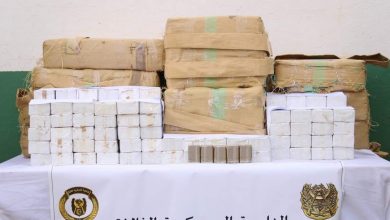 صورة إحباط إدخال أزيد من 11 قنطارا من الزطلة المغربية عبر الحدود