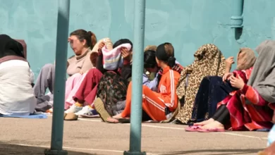 صورة هذه نسبة النساء الجزائريات المتواجدات في السجون