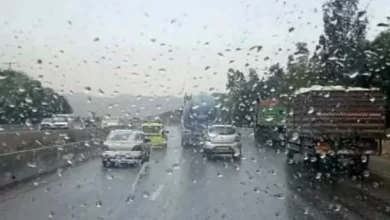 صورة أمطار رعدية بالولايات الجنوبية بداية من اليوم