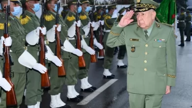 صورة الفريق أول السعيد شنقريحة يشيد بدور الديبلوماسية الوطني في كبح الإرهاب بالجزائر