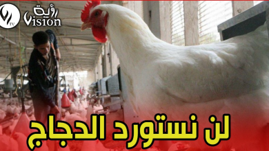 صورة وزارة الفلاحة : خبر استيراد الدجاج لا أساس له من الصحة