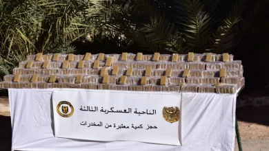 صورة إحباط إدخال 12 قنطار و65 كلغ من الكيف المعالج عبر الحدود مع المغرب