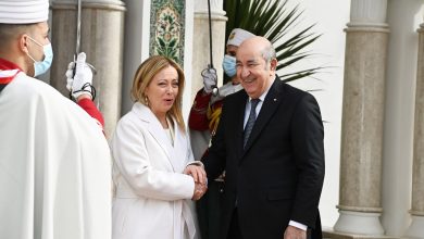 صورة رئيس  الجمهورية يستقبل رئيسة مجلس الوزراء الايطالي ميلوني