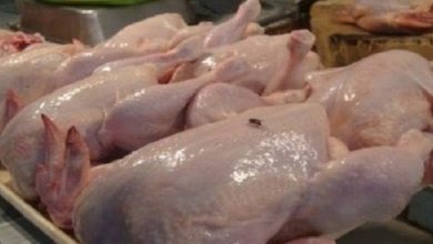 صورة بجاية.. حجز (13) قنطار من الدجاج الفاسد بواد غير