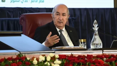 صورة الرئيس تبون: “الوالي هو رئيس الحكومة في ولايته”