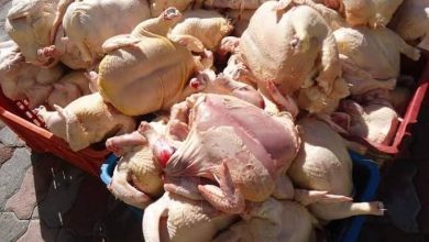 صورة بجاية.. اكتشاف مذبح غير شرعي وحجز أزيد من (03) قناطير من اللّحوم البيضاء ببلدية أميزور
