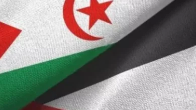 صورة تصفية الإستعمار بفلسطين والصحراء الغربية في صلب محادثات لعمامرة مع نظيرته في جنوب إفريقيا