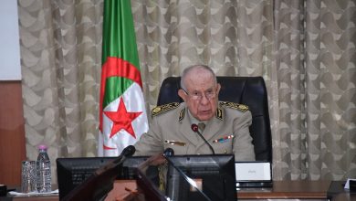 صورة الفريق أول شنقريحة يستقبل وزير الدولة المكلف بالقوات المسلحة البريطانية
