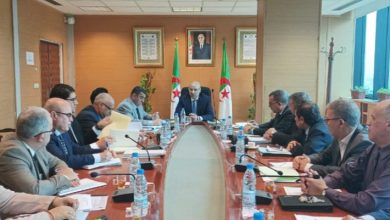 صورة تعليمات صارمة من وزير التجارة الجديد لمواجهة أزمة الزيت وغلاء أسعار البصل