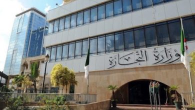 صورة رسميا.. إطلاق رخص الاستيراد بداية من يوم الأربعاء وهذه المواد المعنية