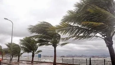 صورة رياح قوية منتظرة بداية من اليوم على هذه الولايات