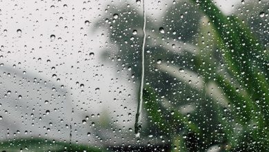 صورة أمطار غزيرة ورعود ورياح قوية عبر 19 ولاية