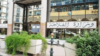 صورة وزارة الفلاحة تضرب بيد من حديد.. وتصدر قرارات صارمة