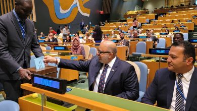 صورة انتخاب الجزائر للعضوية غير الدائمة في مجلس الأمن الدولي