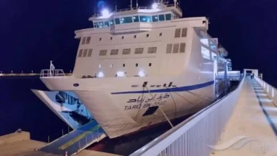 صورة الرئيس تبون يدعو لتقديم تسهيلات للجالية بمناسة موسم الاصطياف 2023