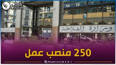 صورة وزارة الفلاحة تفتح 250 منصبا للتوظيف في هذه التخصصات