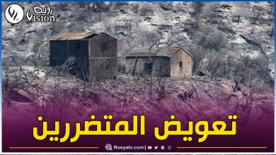 صورة مباشرة إحصاء الخسائر ودراسة ملفات تعويض المتضررين من حرائق الغابات