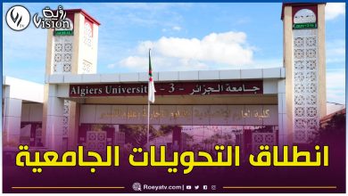 صورة التعليم العالي.. انطلاق عملية التحويلات الجامعية اليوم الثلاثاء