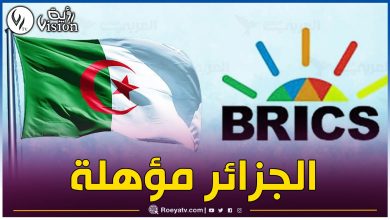 صورة الجزائر مؤهلة للانضمام إلى مجموعة “بريكس”.. خبير بوزارة خارجية جنوب افريقيا يكشف