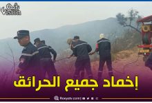 صورة الحالة العامة لحرائق الغابات في 3 ولايات.. الحماية المدنية توضح