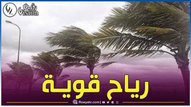 صورة الأرصاد الجوية تحذر من هبوب رياح قوية على هذه السواحل
