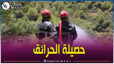 صورة هذه الوضعية العامة لحرائق الغابات على مستوى عدة ولايات