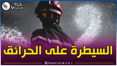 صورة هذه الحالة العامة لحرائق الغابات المندلعة بعدة ولايات خلال 24 ساعة الماضية