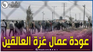 صورة بعد اعتقالهم وتعذيبهم.. الاحتلال يعيد عمال غزة العالقين منذ عملية طوفان الأقصى