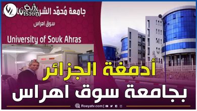 صورة يتقدمهم بلقاسم حبة وبشير حليمي.. قامات علمية جزائرية في ضيافة جامعة سوق اهراس