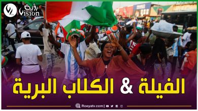 صورة الليلة أفريكانو.. الأفيال والكلاب البرية يقصان شريط كأس أمم إفريقيا