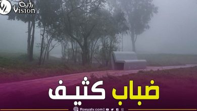 صورة ضباب كثيف في هذه الولايات.. والدرك الوطني يحذر