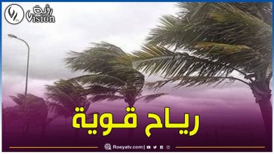 صورة رياح قوية على عدة ولايات من الوطن اليوم الأربعاء