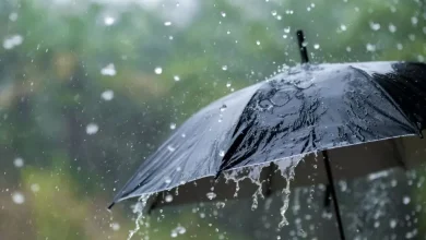 صورة أمطار رعدية على هذه الولايات اليوم