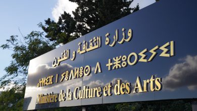 صورة صدور مدونة المهن الفنية في الجريدة الرسمية