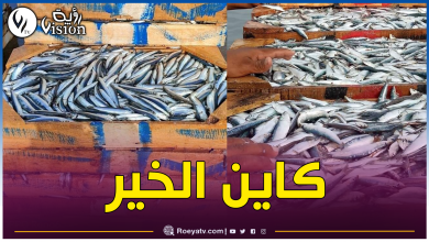 صورة إنخفض إلى 150 دج.. تهاوي أسعار السردين هذه الأيام
